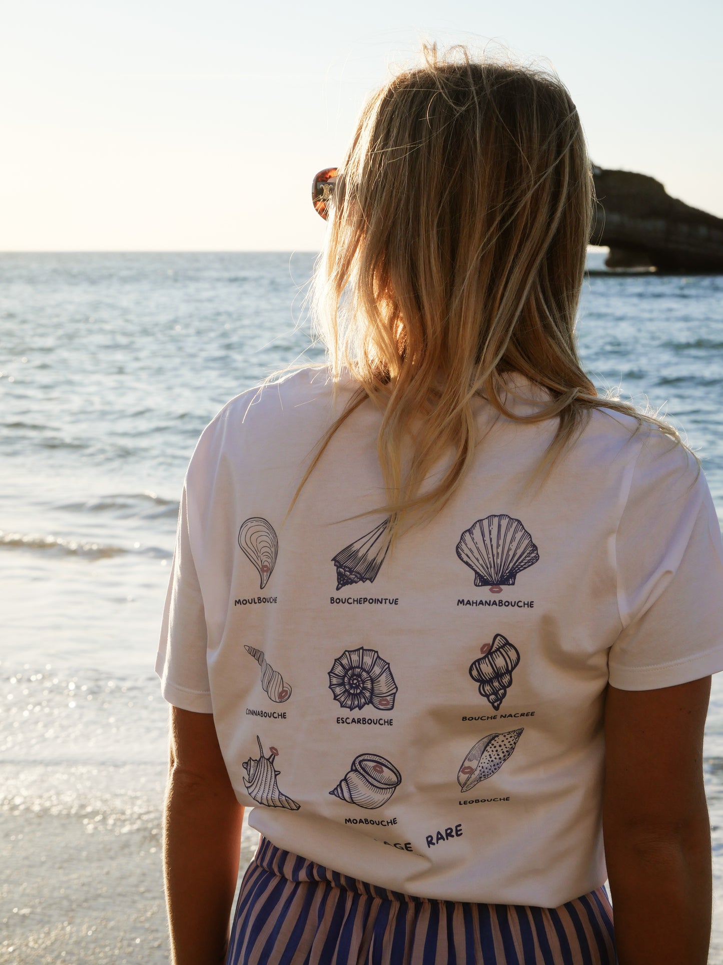 T shirt Coquillage rare